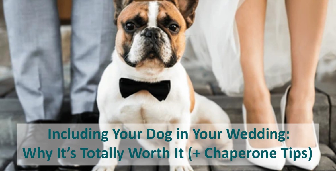 Including Your Dog in Your Wedding: Why It’s Totally Worth It (+ Chaperone Tips)